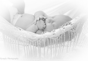 Baby Portraits021 300x210 Little Cherubs