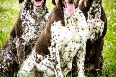 Portrait Photography Lincolnshire